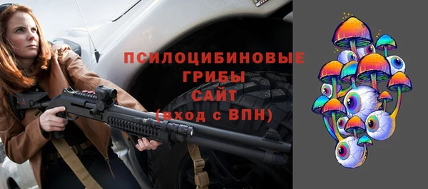 эйфоретик Алзамай